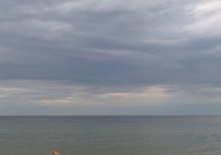 2016-9